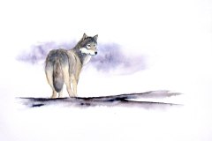 loup-5-w