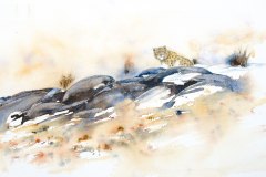 panth-cover-A4w